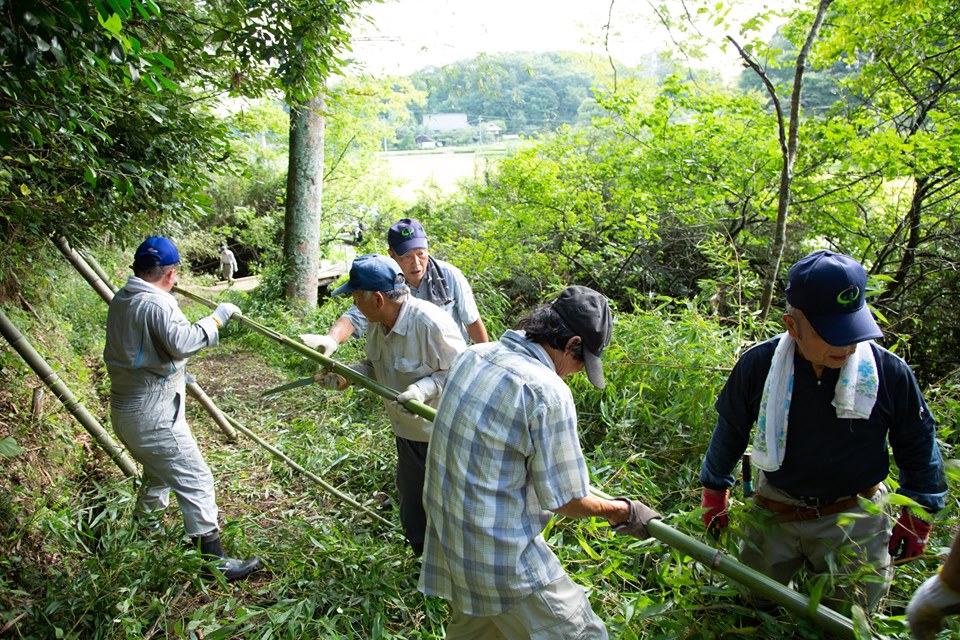 2019年公演の舞台準備：竹切り作業