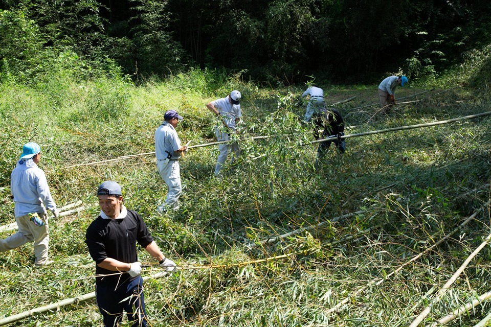 2019年公演の舞台準備：竹切り作業