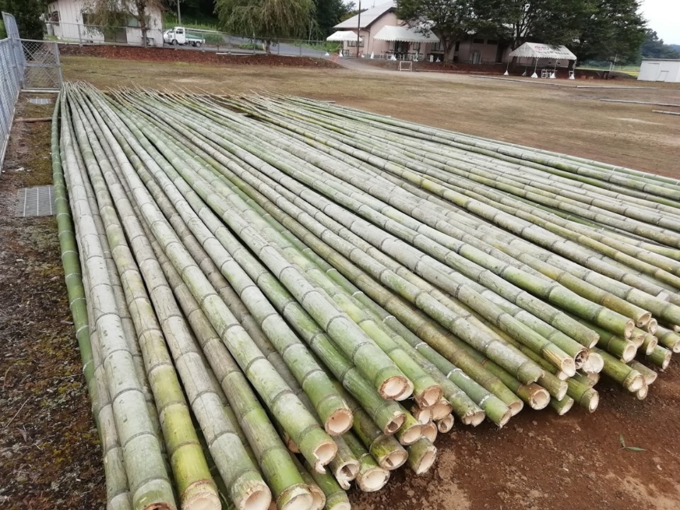 2019年公演の舞台準備：竹切り作業