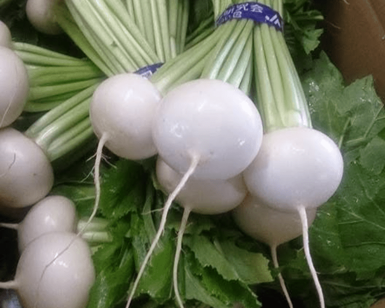 2025年公演　支援企画　カブ